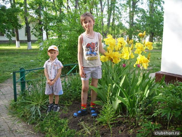 1480_buratinko_in_shorts_18.jpg